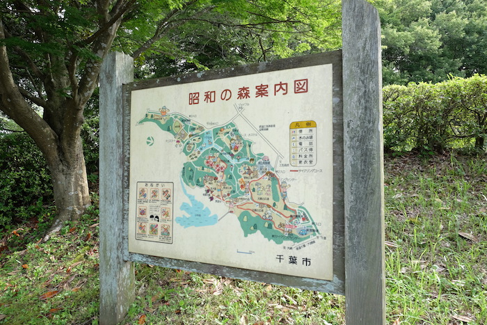 千葉昭和の森